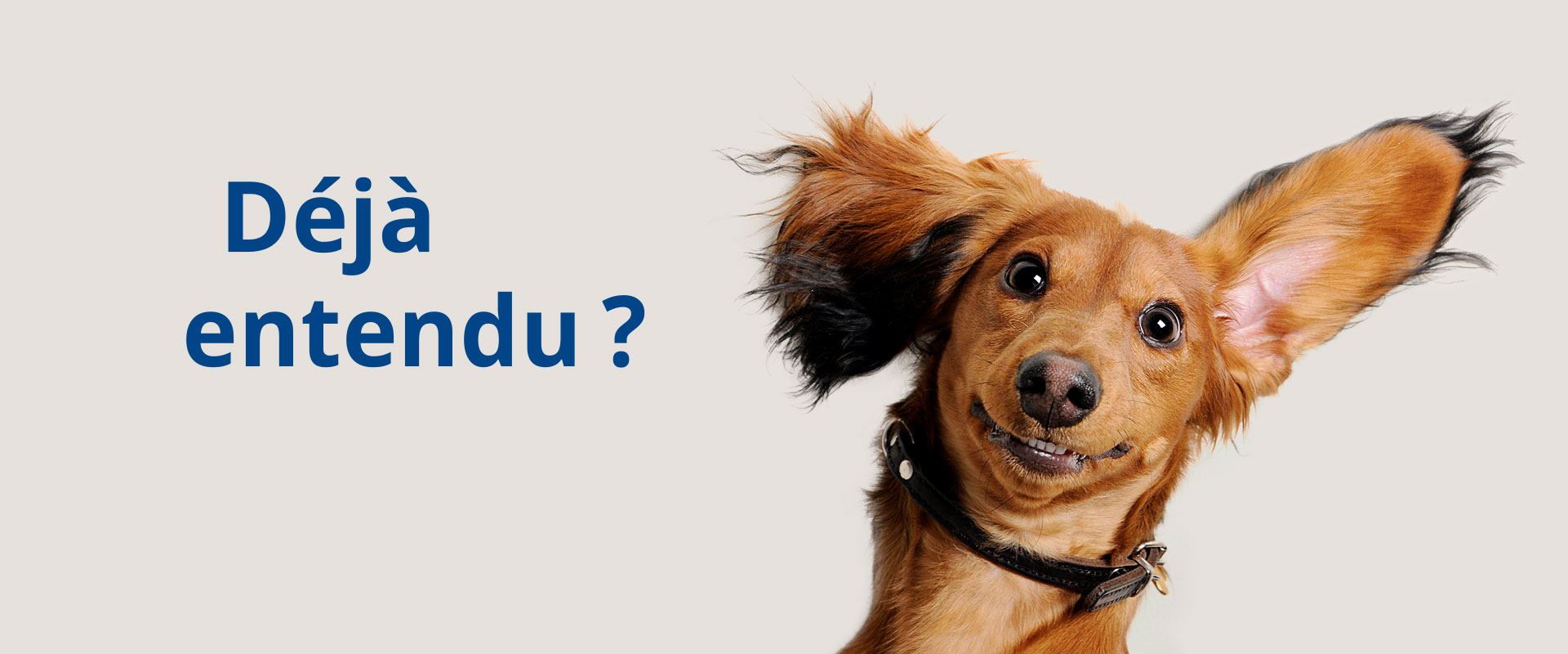 veterinaire desktop